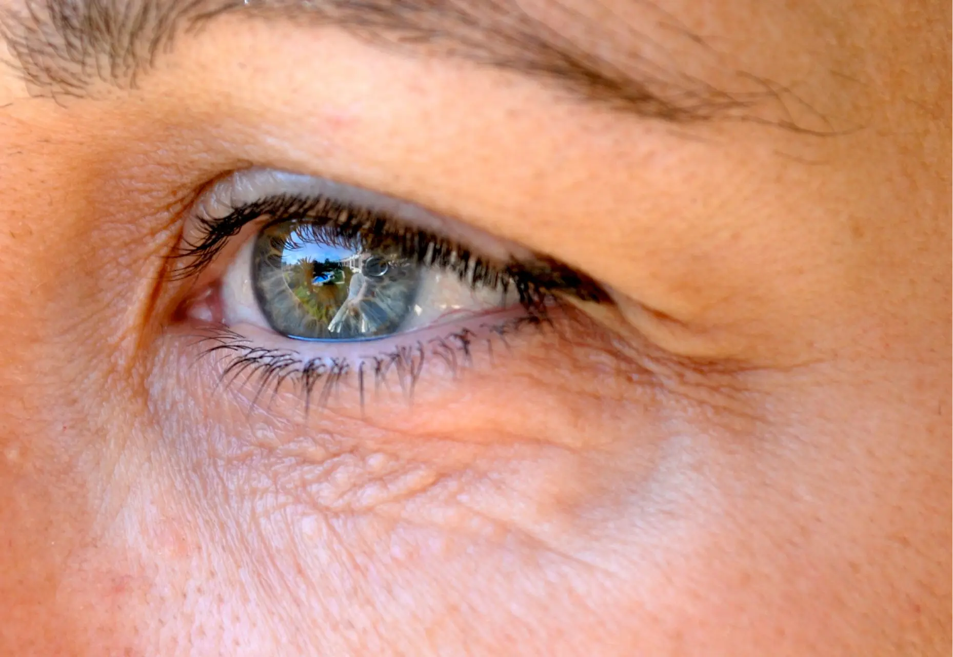 macro-portrait-of-a-blue-colored-eye-2026-03-18-09-47-01-utc